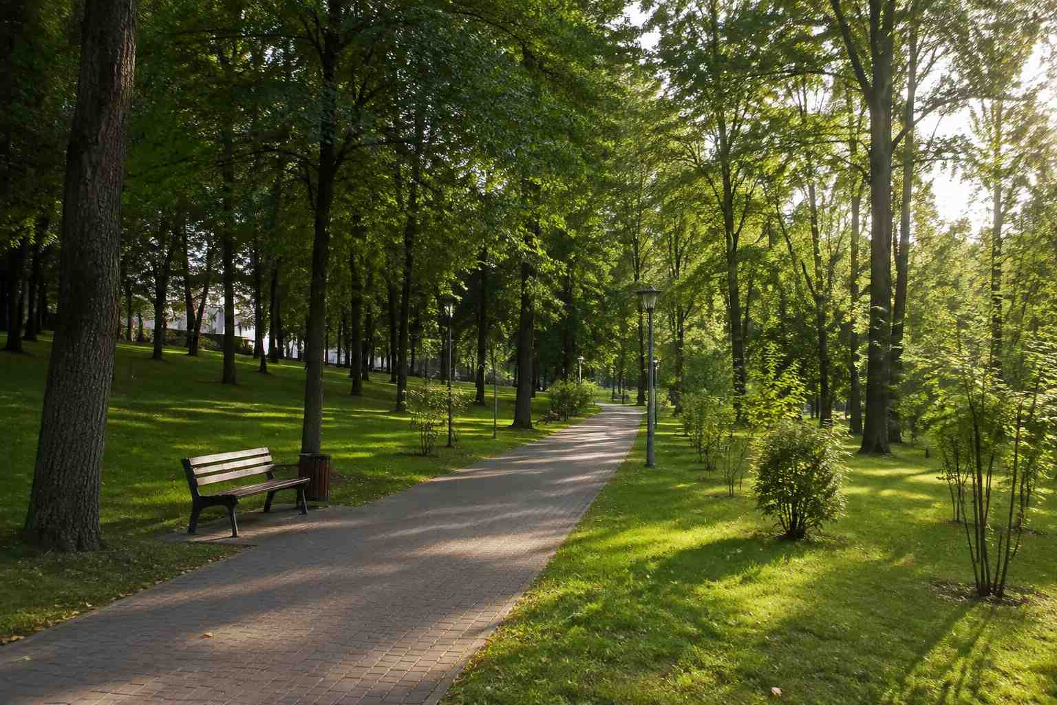 https://tolyatti.blago-s.ru/storage/app/uploads/public/6a7/eef/ed2/6a7eefed2af22038960370.jpg